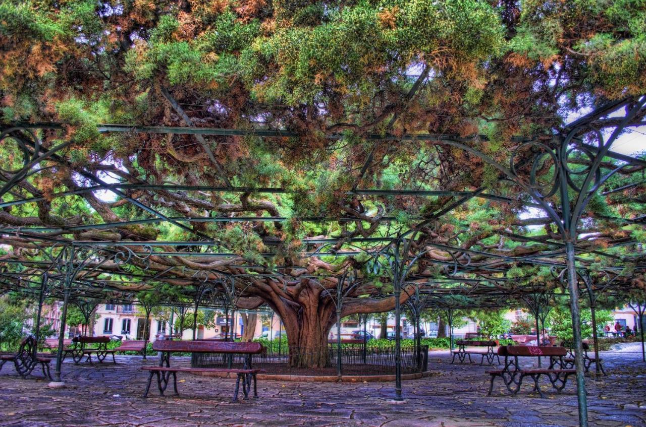 Principe Real Charming Garden View Flat At The Heart Of Lisbon Apartment Bagian luar foto